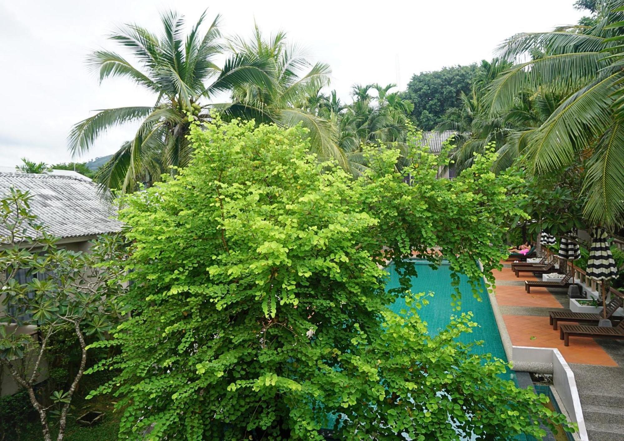 Signature Phuket Resort Chalong Zewnętrze zdjęcie